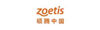 碩騰中國